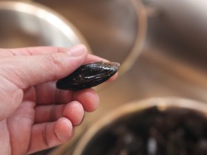 20141026-mussels-how-to-food-lab-05